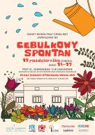 Cebulkowy spontan